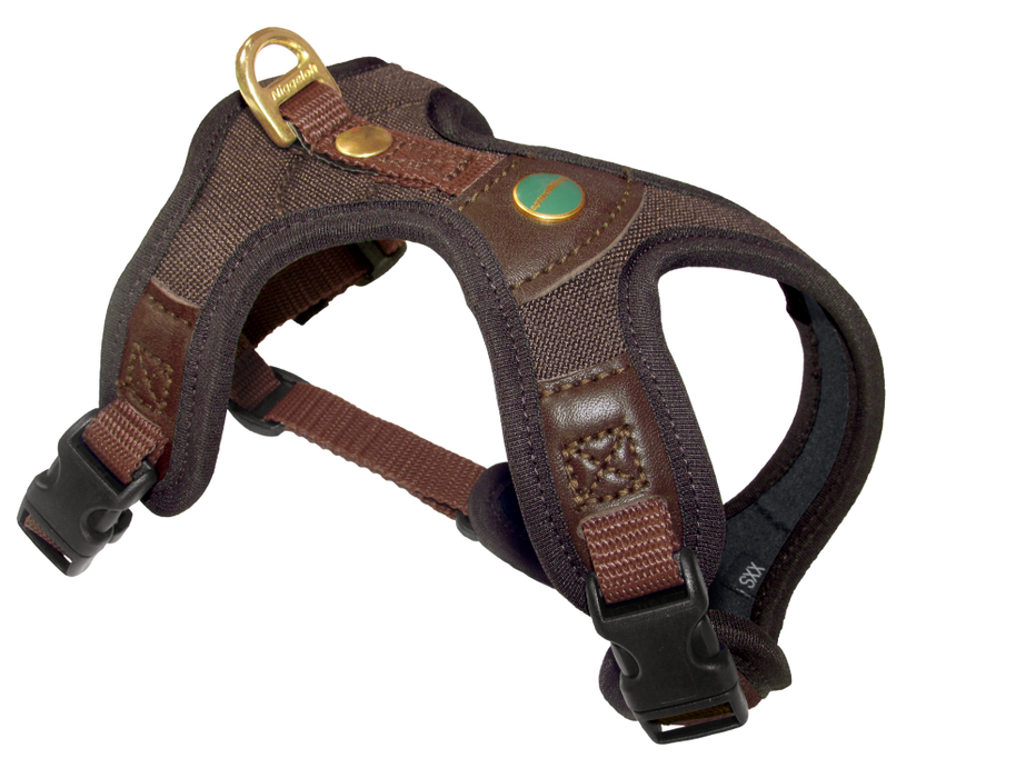 Niggeloh Follow  light sele