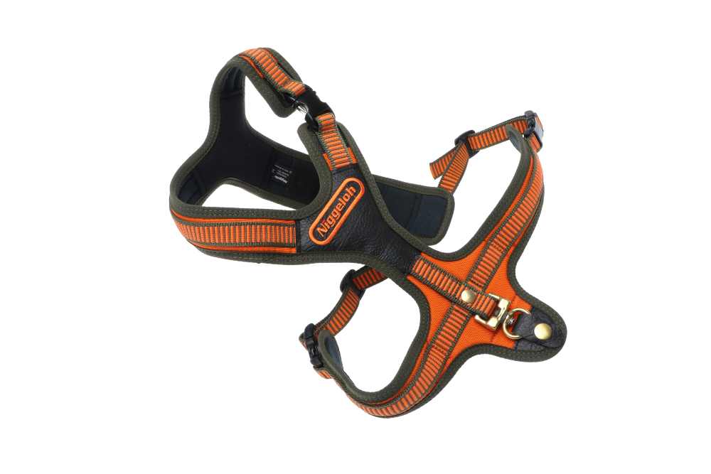 Niggeloh Follow schweiss sele