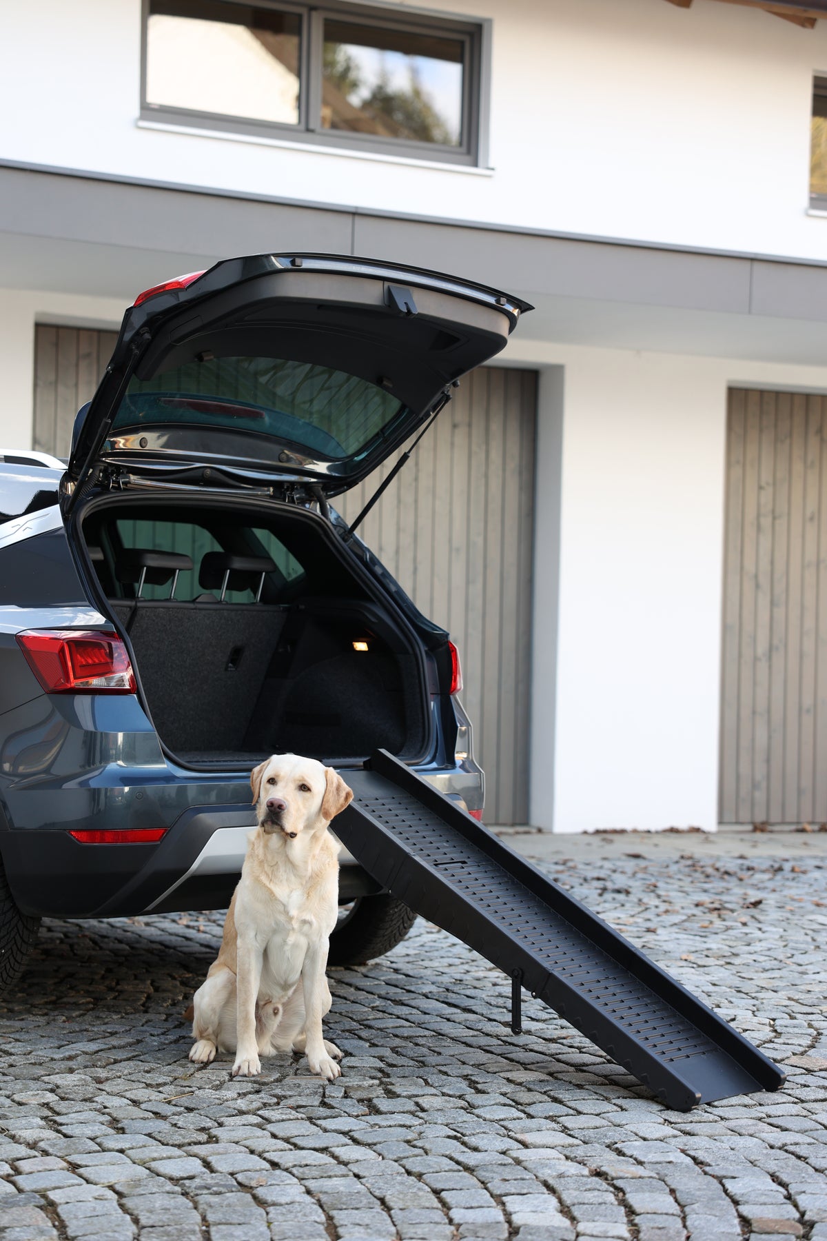 Hunderampe til bilen