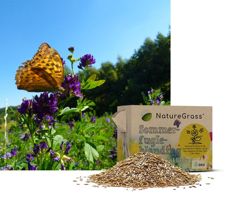 Natur Sommerfugleblanding, 0,1 kg Æske