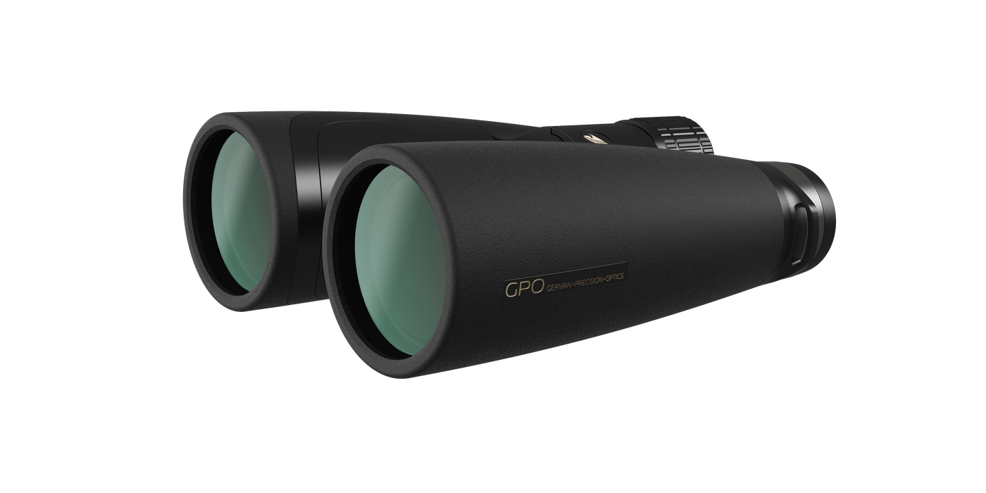 PASSION ED - 8x32 - Sort - GPO