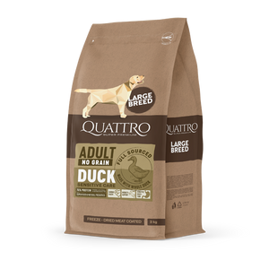 Quattro Super Premium No Grain Large Breed Adult, Duck 12kg — 2 sække