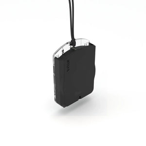 Compass Ranger S - Silva