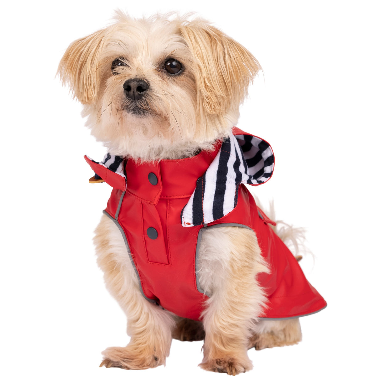 Seadog - Red - Trespass