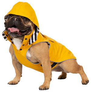 Seadog - Sunshine - Trespass