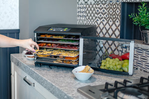 Steba Dehydrator ED6