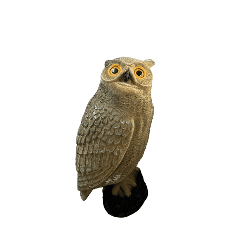 Ugle m/flock