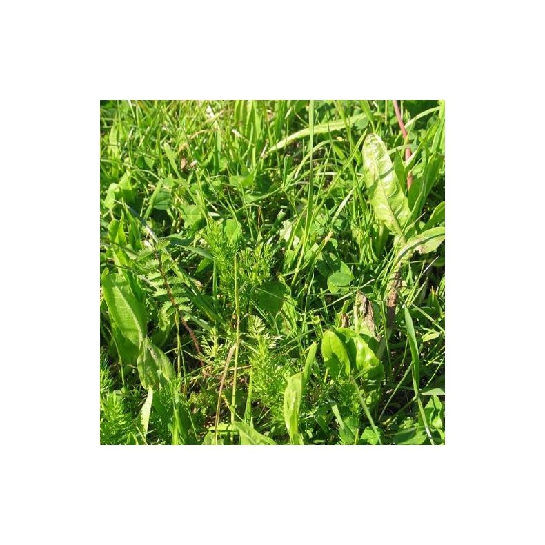 DSV Urteblanding 6-arts, 1 kg 3