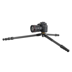 Tripod VEO 5 Carbon m. VEO PH-26 hoved - Vanguard