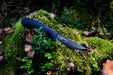 Bushcraft BlackBlade (C) Black - Morakniv