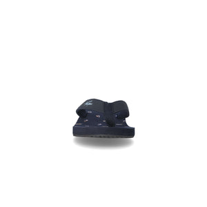 Caladesi - Tropical Bird Print - Trespass