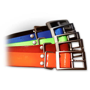 1" halsbåndsrem, firkantet spænde, small (orange) 2