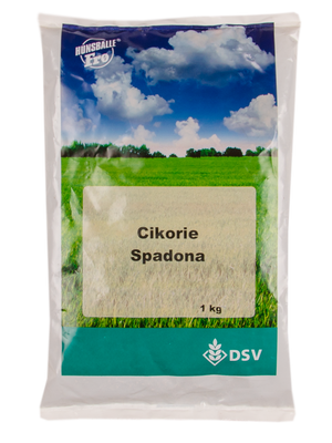 Cikorie, Spadona 10 kg 2