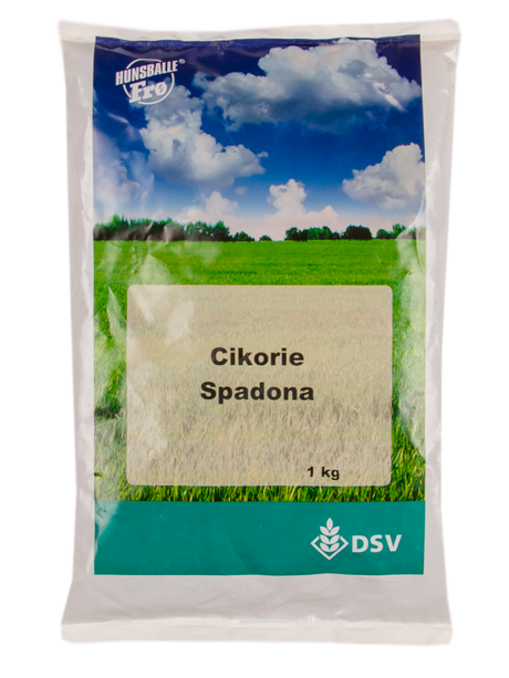 Cikorie, Spadona 10 kg 2