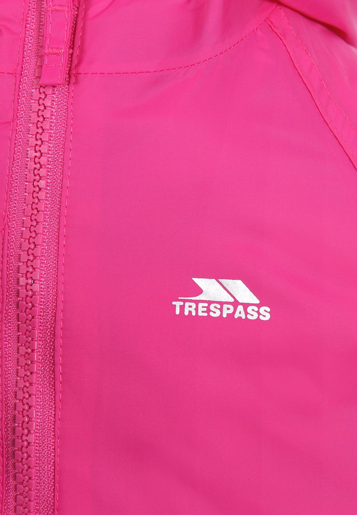 Dripdrop - Gerbera - Trespass