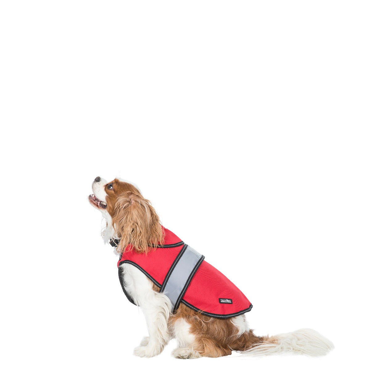 Trespass UUACPTN30008 RDX