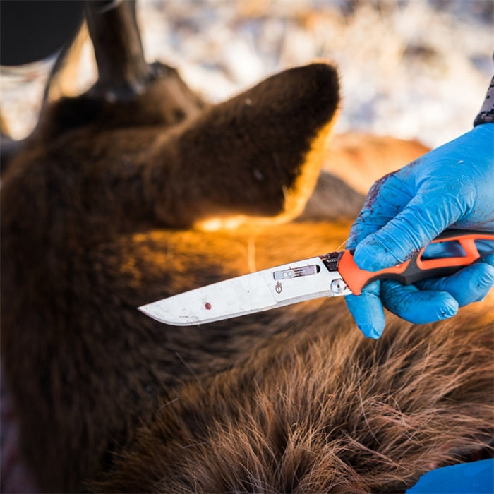 Randy Newberg Fixed EBS  - Gerber