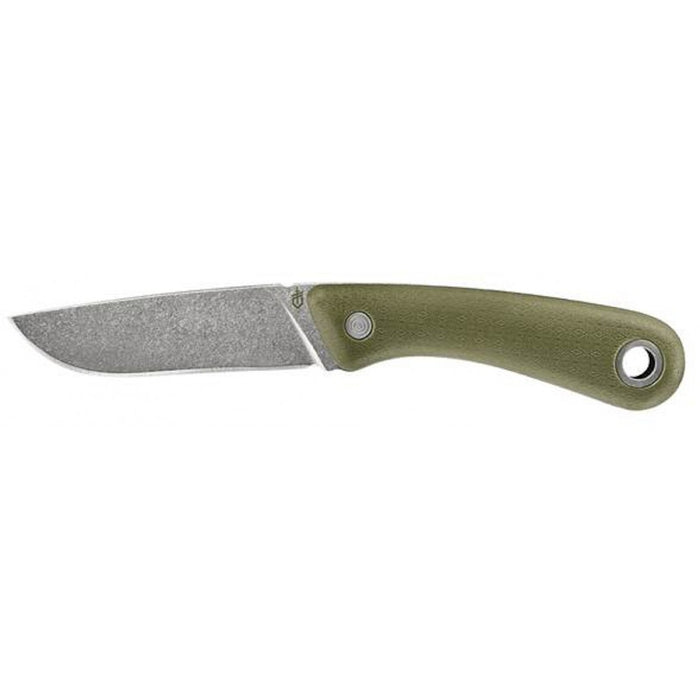 Spine Fixed Green  - Gerber