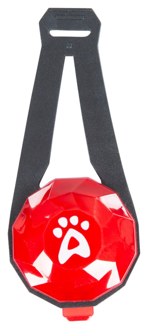 Glitterdog - Red - Trespass