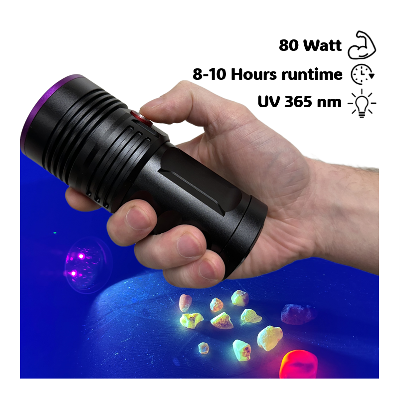 Globuz Eclipse PRO 80w UV 365nm w/ Blacklight-filter