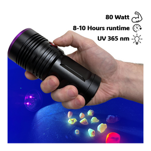 Globuz Eclipse PRO 80w UV 365nm w/ Blacklight-filter