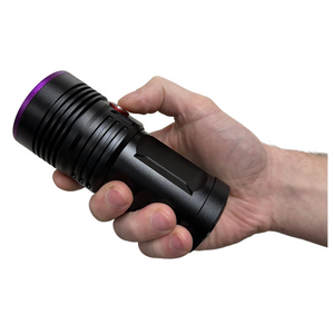 Globuz Eclipse PRO 80w UV 365nm w/ Blacklight-filter