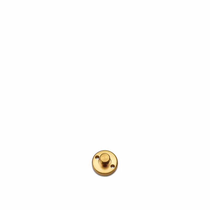 Brass Screw For 3288,89 - Primus