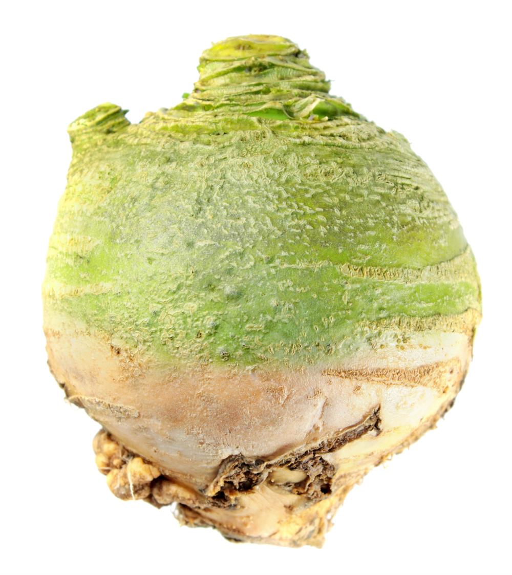 Kålroe Wilhelmsburger, ubejdset, 1 kg