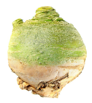 Kålroe Wilhelmsburger, ubejdset, 1 kg