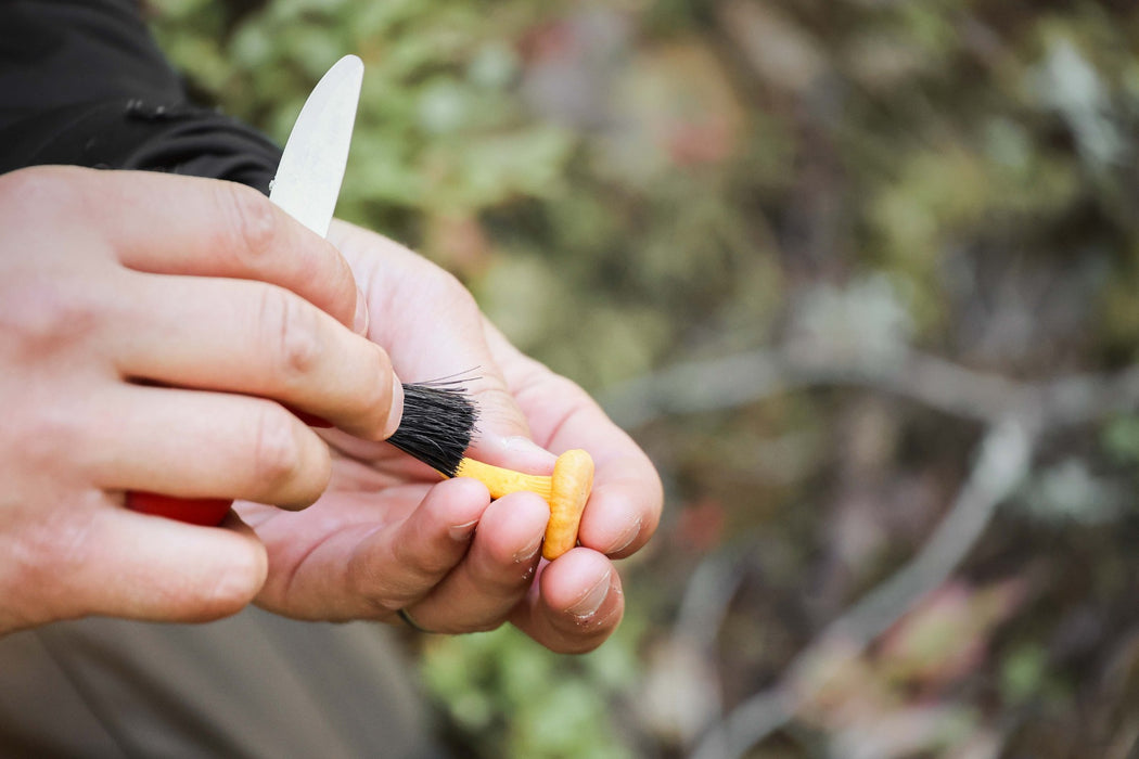 Karl-Johan Mushroom Knife (S) Red - Morakniv