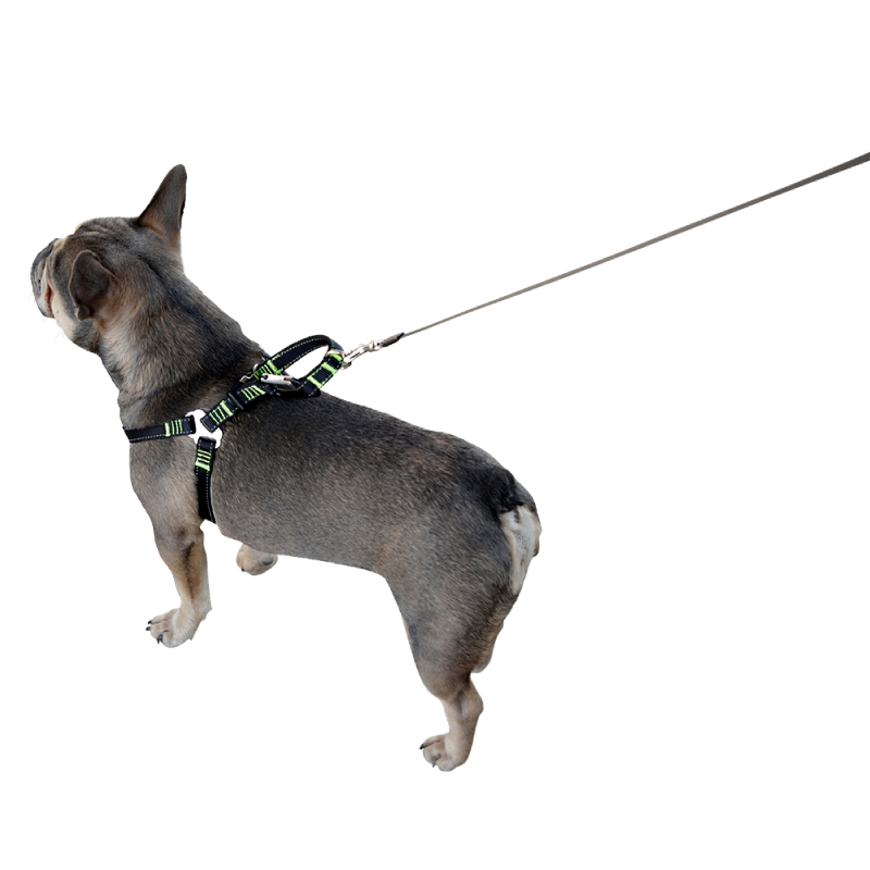 Hundsikkerhedssele til bilen - S