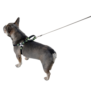 Hundsikkerhedssele til bilen - S