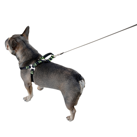 Hundsikkerhedssele til bilen - M