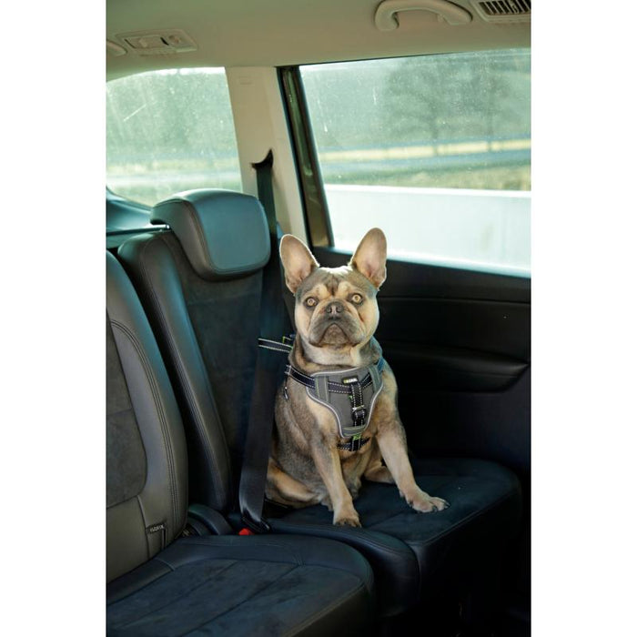 Hundsikkerhedssele til bilen - L