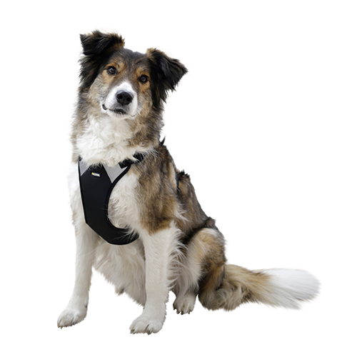 Hundesele Pulsive - Hals 62-85 - Bryst 72-96cm
