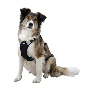 Hundesele Pulsive - Hals 62-85 - Bryst 72-96cm