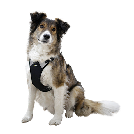 Hundesele Pulsive - Hals 50-62 - Bryst 56-74cm