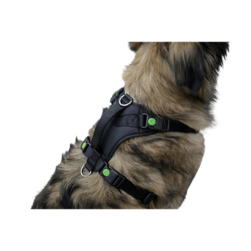 Hundesele Pulsive - Hals 62-85 - Bryst 72-96cm