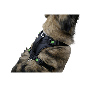 Hundesele Pulsive - Hals 62-85 - Bryst 72-96cm
