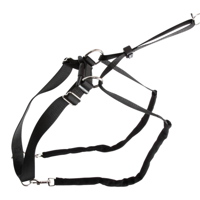 Hundesele Maxi Leader - Hals 25-30cm