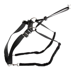 Hundesele Maxi Leader - Hals 25-30cm