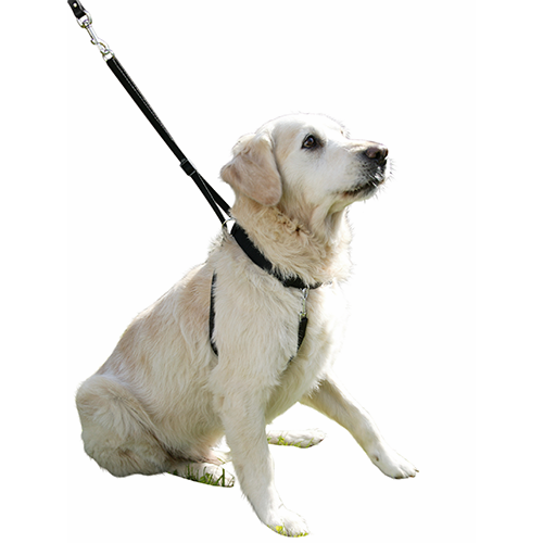 Hundesele Maxi Leader - Hals 25-30cm
