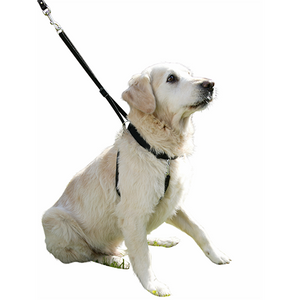 Hundesele Maxi Leader - Hals 25-30cm
