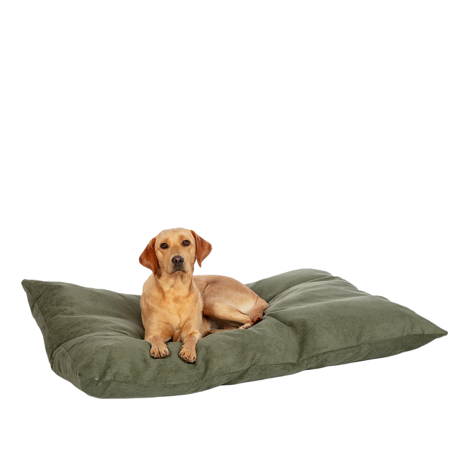 D.D. Elden Fern Deep Duvet L