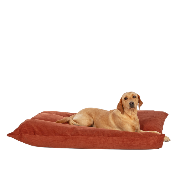 D.D. Elden Rust Deep Duvet L
