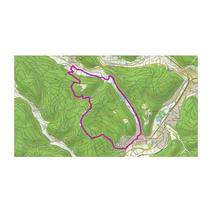 MicroSD™/SD™ kort: TOPO Tyskland v9 PRO