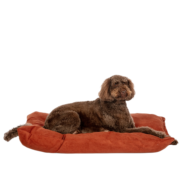 D.D. Elden Rust Deep Duvet M
