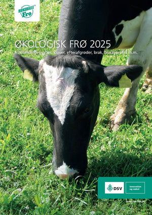 Rajsvingel Fedoro, rajgræstype, 10 kg 2