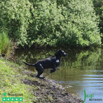 Hundevest - Tørrevest - Tørredækken Grå - HuntElite