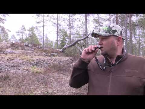 Nordik - Pro Roe Bukkekald
